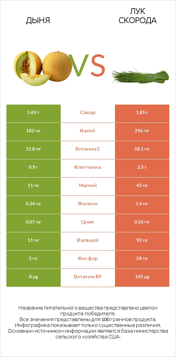 Дыня vs Лук скорода infographic
