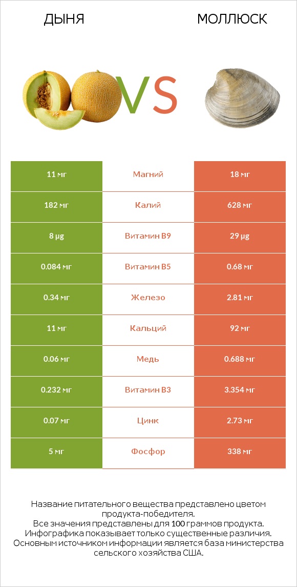 Дыня vs Моллюск infographic