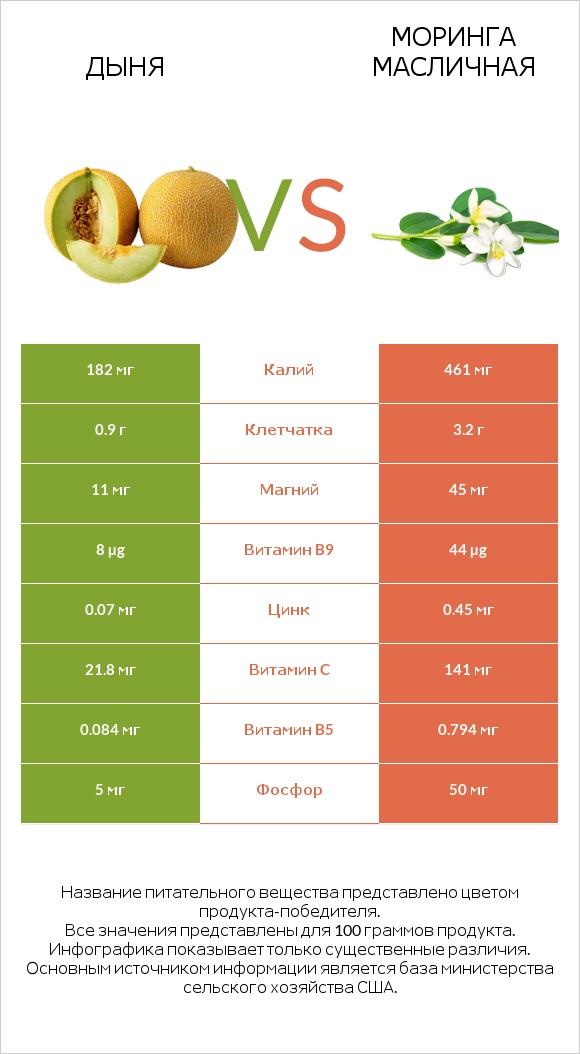 Дыня vs Моринга масличная infographic