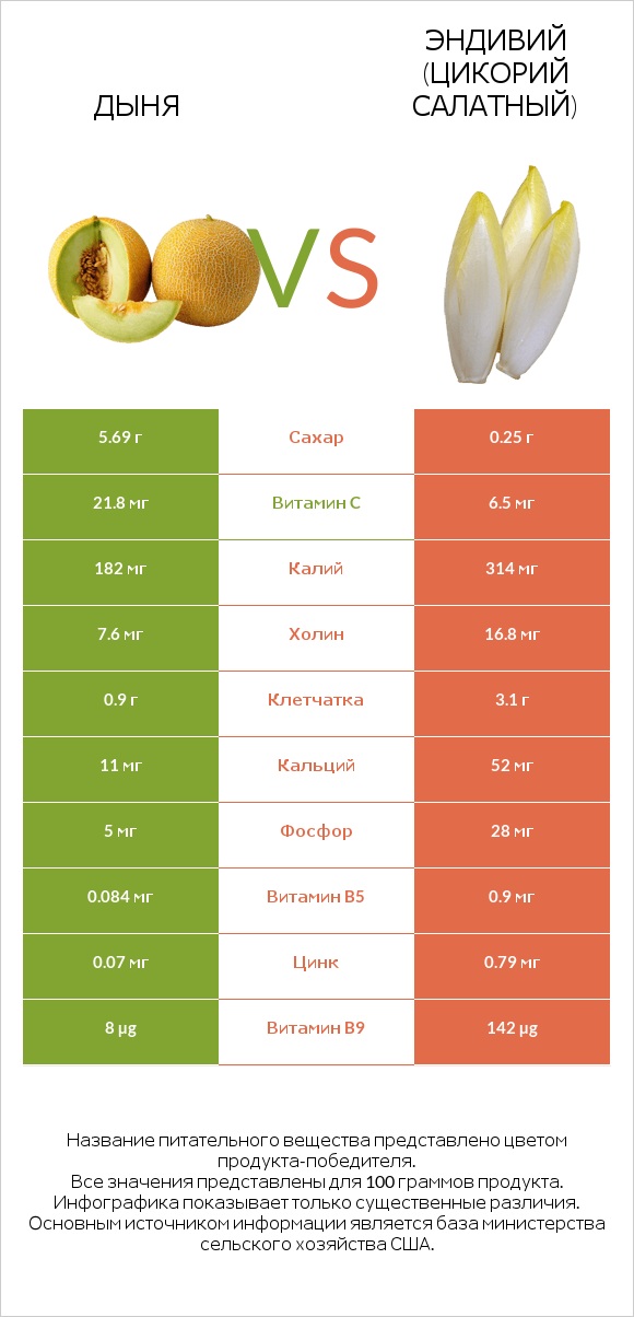 Дыня vs Эндивий (Цикорий салатный) infographic