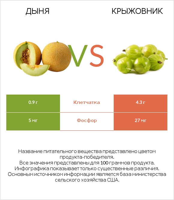 Дыня vs Крыжовник infographic