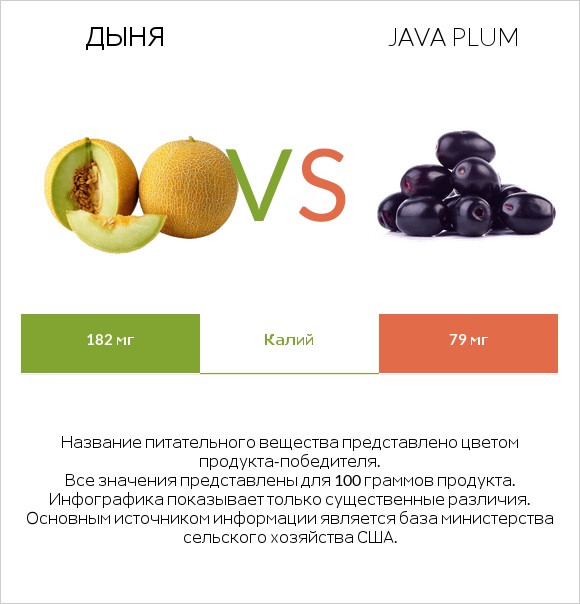 Дыня vs Java plum infographic