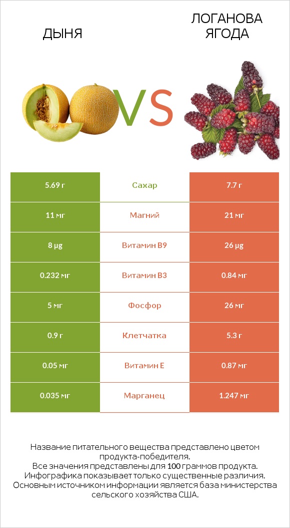 Дыня vs Логанова ягода infographic