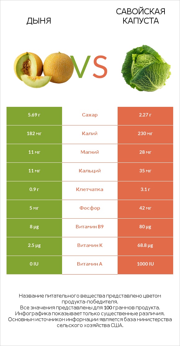 Дыня vs Савойская капуста infographic