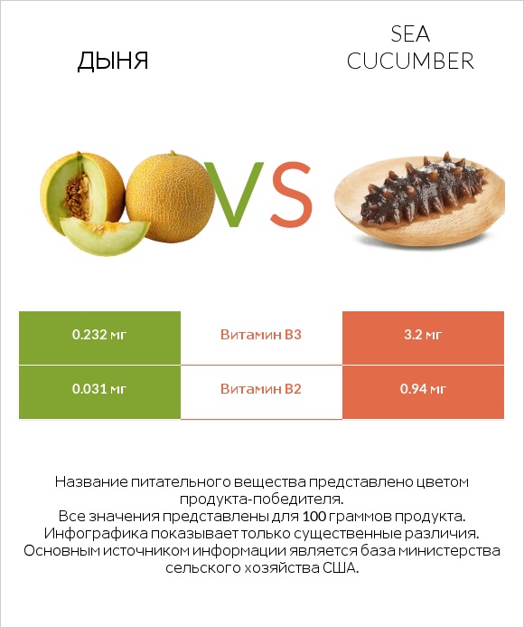 Дыня vs Sea cucumber infographic