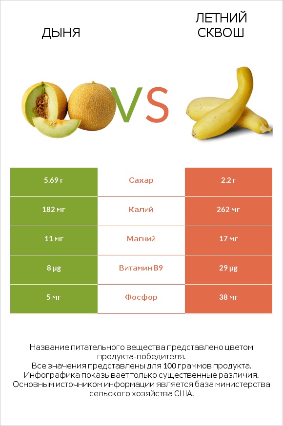 Дыня vs Летний сквош infographic