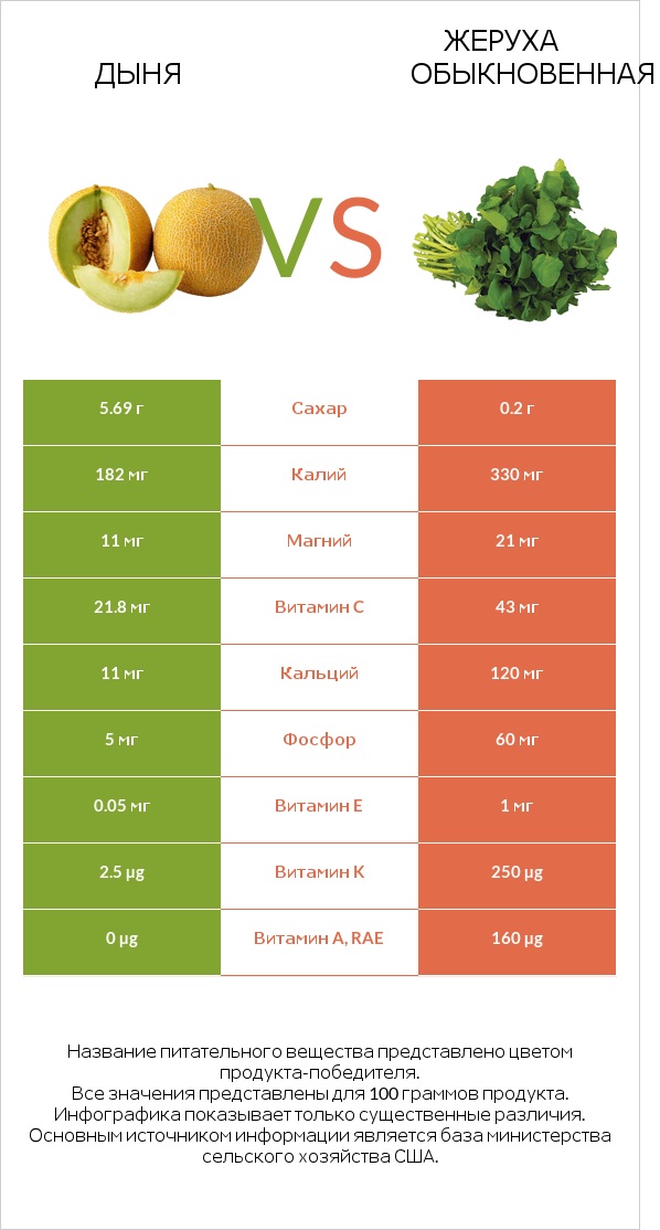 Дыня vs Жеруха обыкновенная infographic