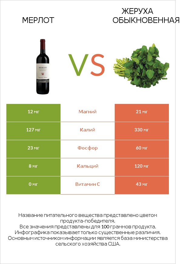 Мерлот vs Жеруха обыкновенная infographic