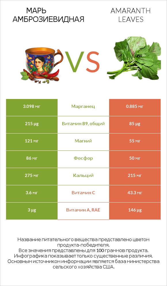Марь амброзиевидная vs Amaranth leaves infographic