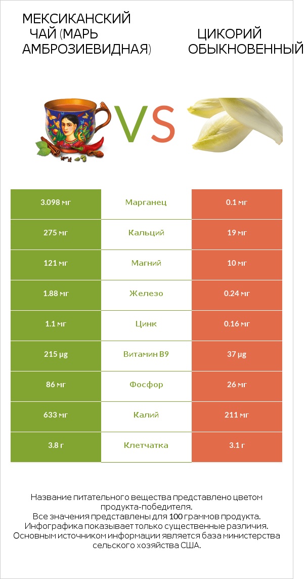 Марь амброзиевидная vs Chicory infographic