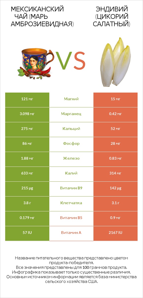 Мексиканский чай (Марь амброзиевидная) vs Эндивий (Цикорий салатный)  infographic