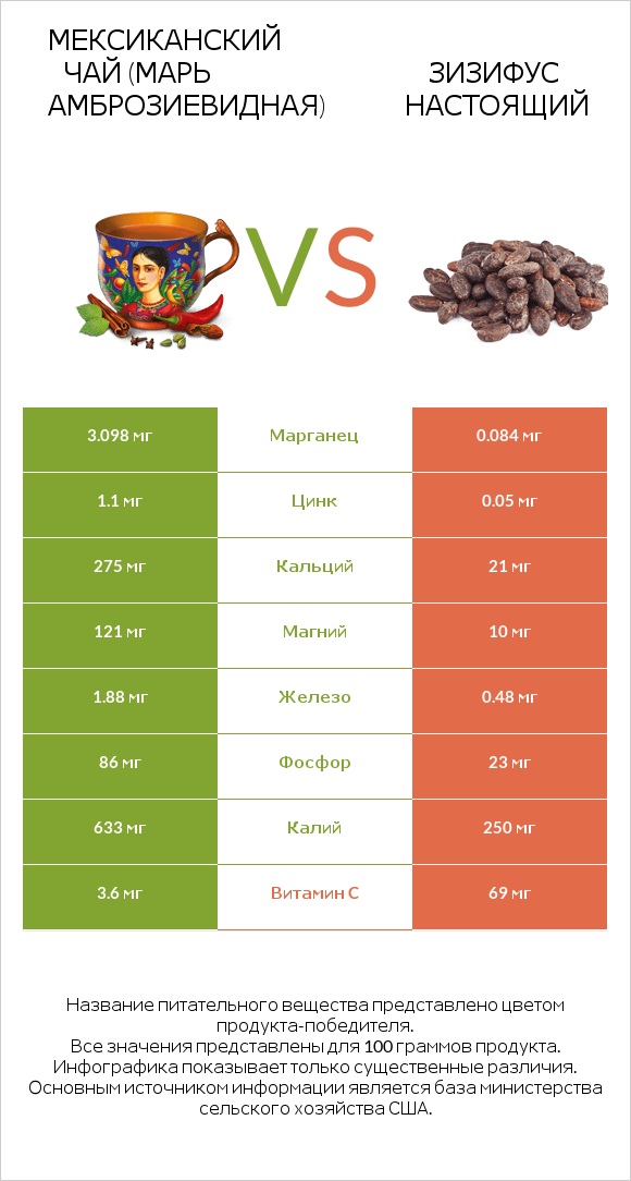 Мексиканский чай (Марь амброзиевидная) vs Зизифус настоящий infographic