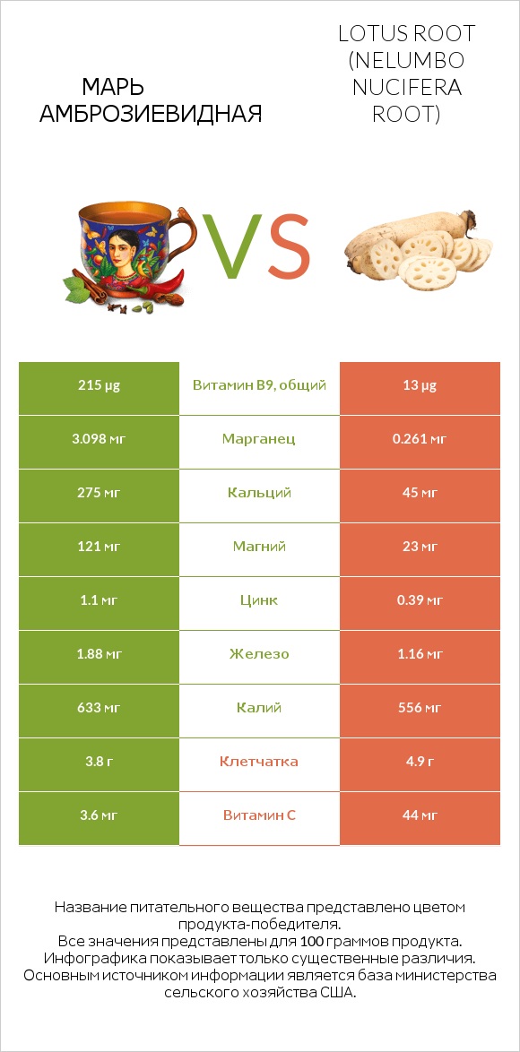 Марь амброзиевидная vs Lotus root infographic