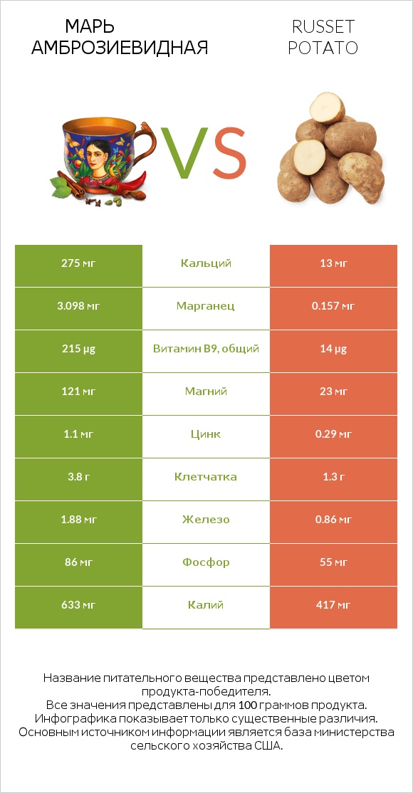 Марь амброзиевидная vs Russet potato infographic