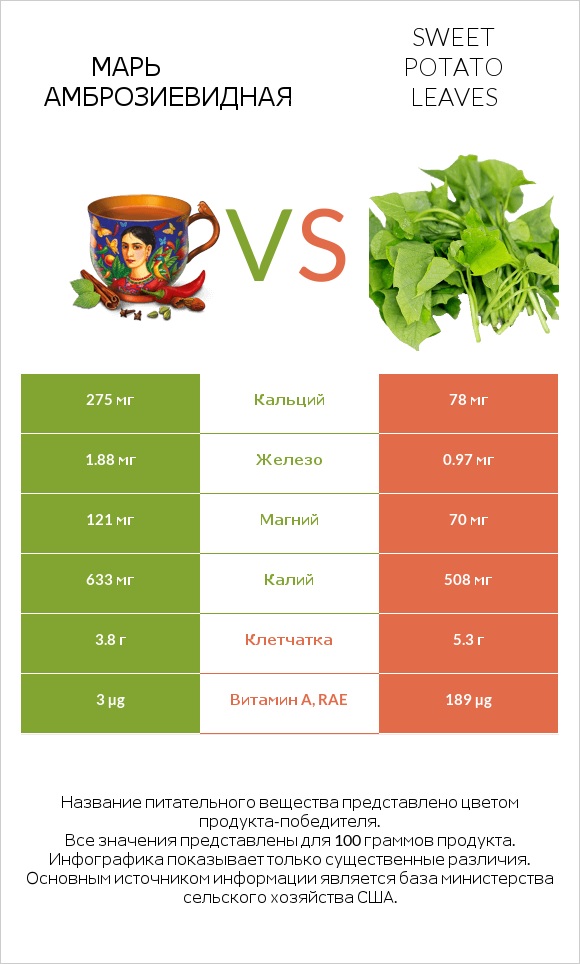 Марь амброзиевидная vs Sweet potato leaves infographic