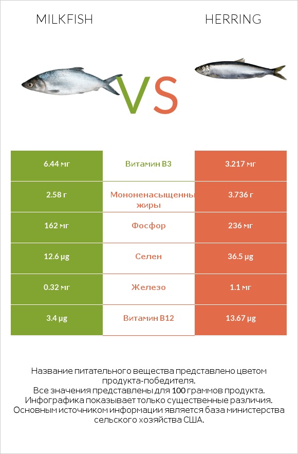 Milkfish vs Herring infographic
