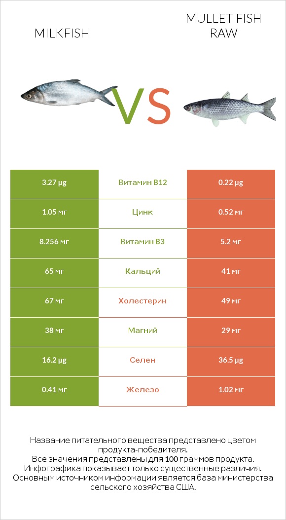 Milkfish vs Mullet fish raw infographic