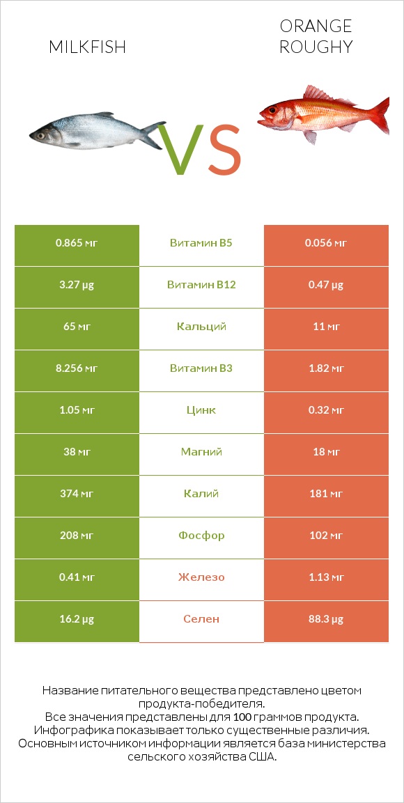 Milkfish vs Orange roughy infographic