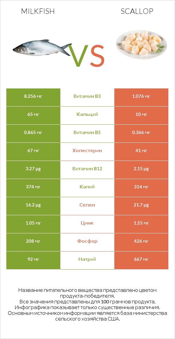 Milkfish vs Scallop infographic