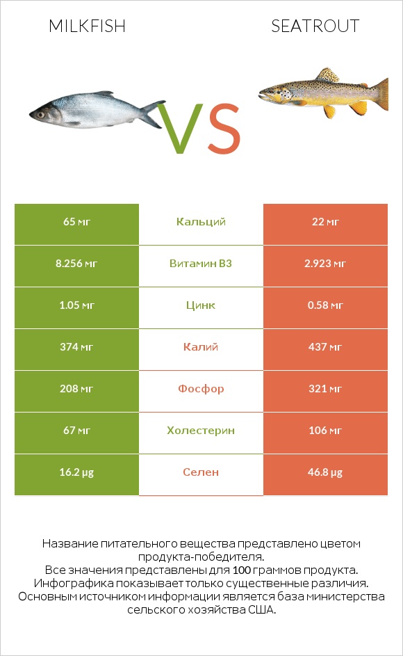 Milkfish vs Seatrout infographic