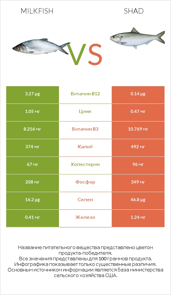 Milkfish vs Shad infographic