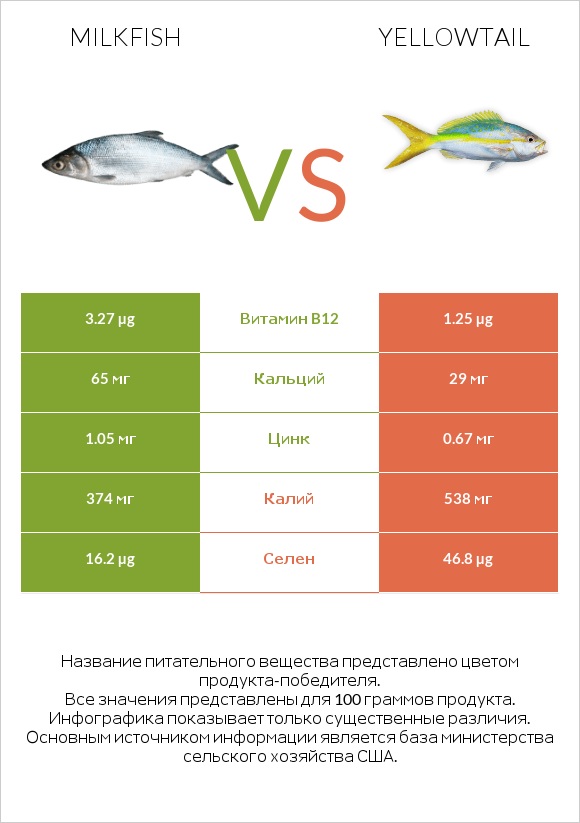 Milkfish vs Yellowtail infographic