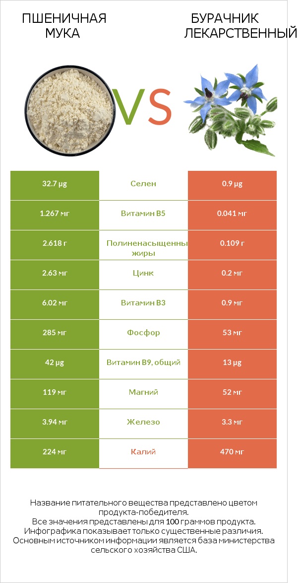 Пшеничная мука vs Бурачник лекарственный infographic