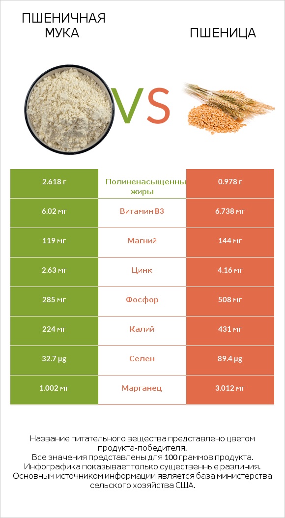 Пшеничная мука vs Пшеница infographic