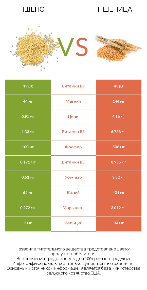 Пшено vs Пшеница infographic