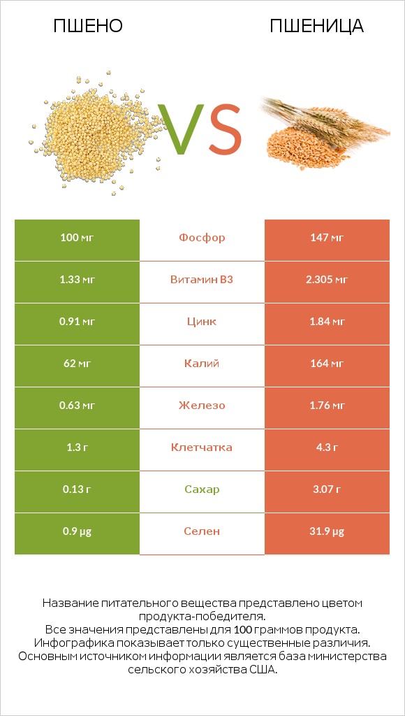Пшено vs Пшеница infographic