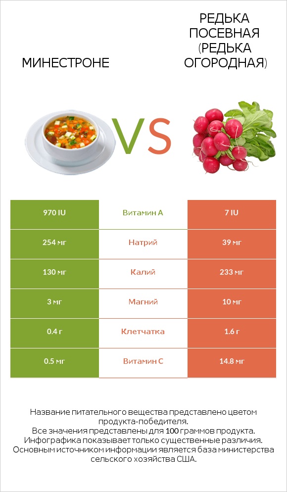 Минестроне vs Редька посевная (Редька огородная) infographic