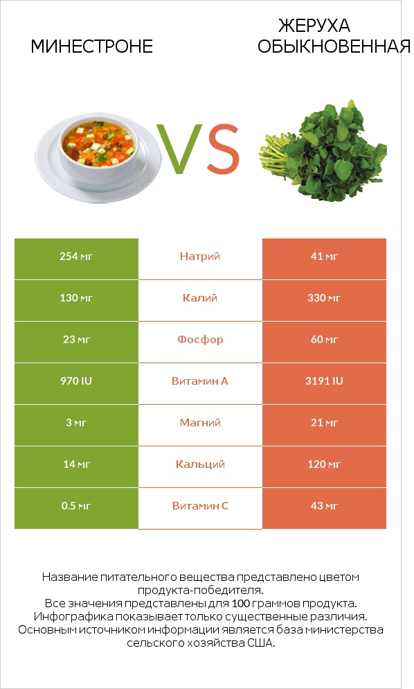 Минестроне vs Жеруха обыкновенная infographic