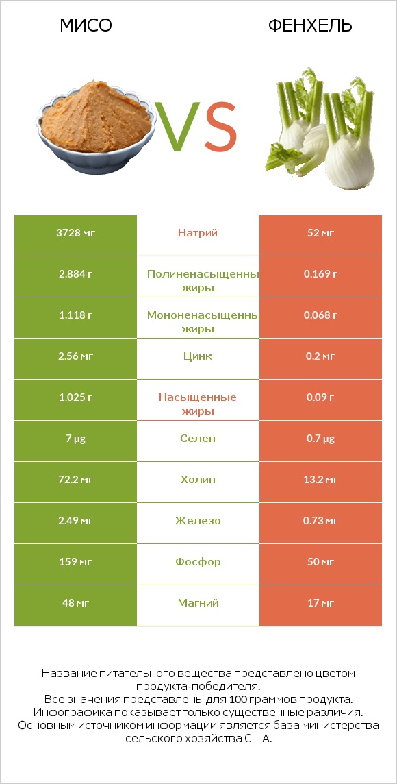 Мисо vs Фенхель infographic