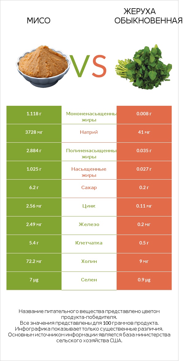 Мисо vs Жеруха обыкновенная infographic