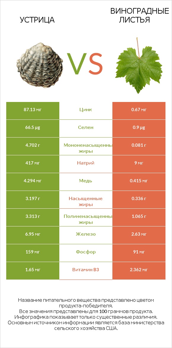 Устрица vs Виноградные листья infographic