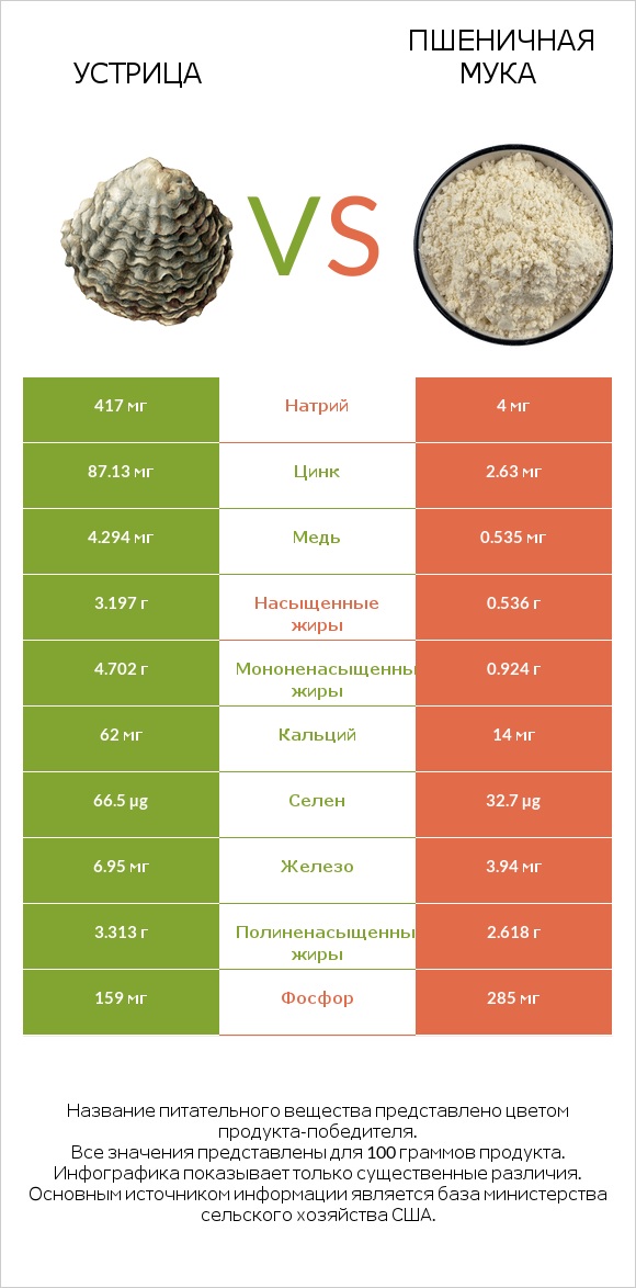 Устрица vs Пшеничная мука infographic