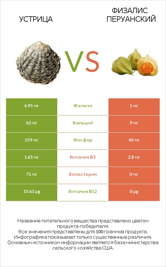 Устрица vs Физалис перуанский infographic