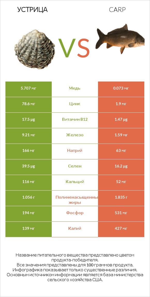 Устрица vs Carp infographic