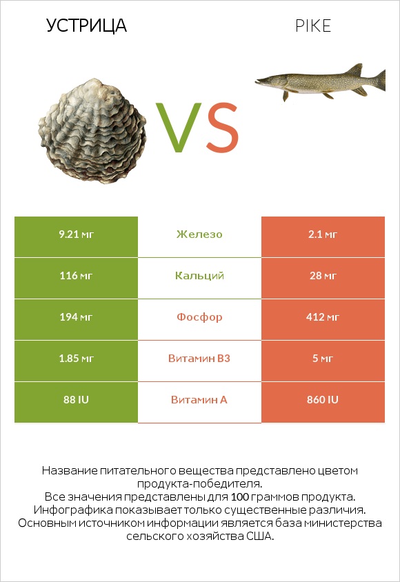 Устрица vs Pike infographic