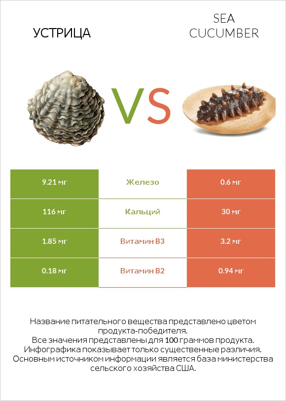 Устрица vs Sea cucumber infographic