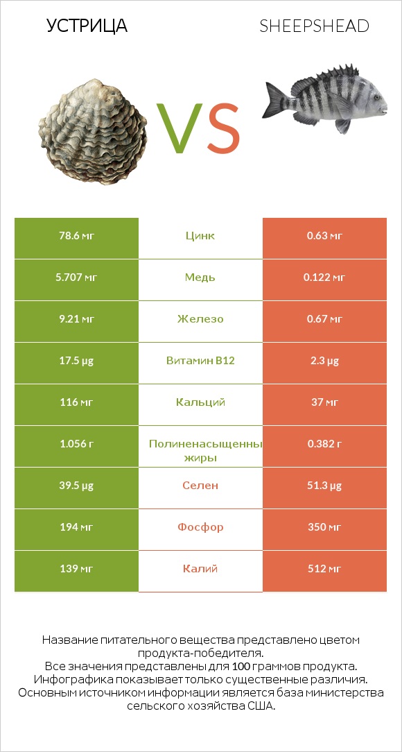 Устрица vs Sheepshead infographic