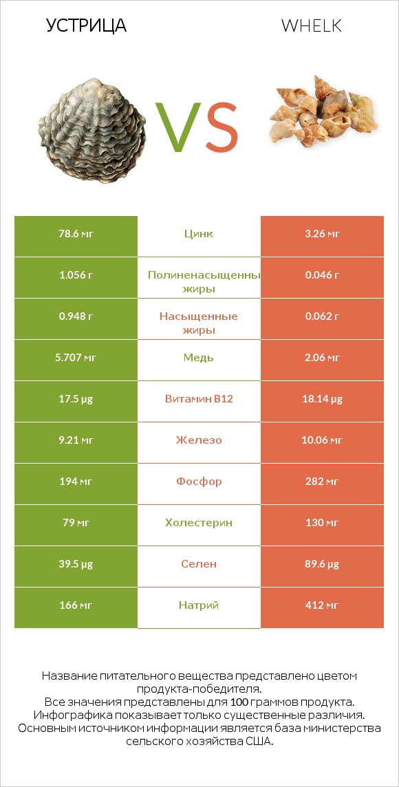 Устрица vs Whelk infographic