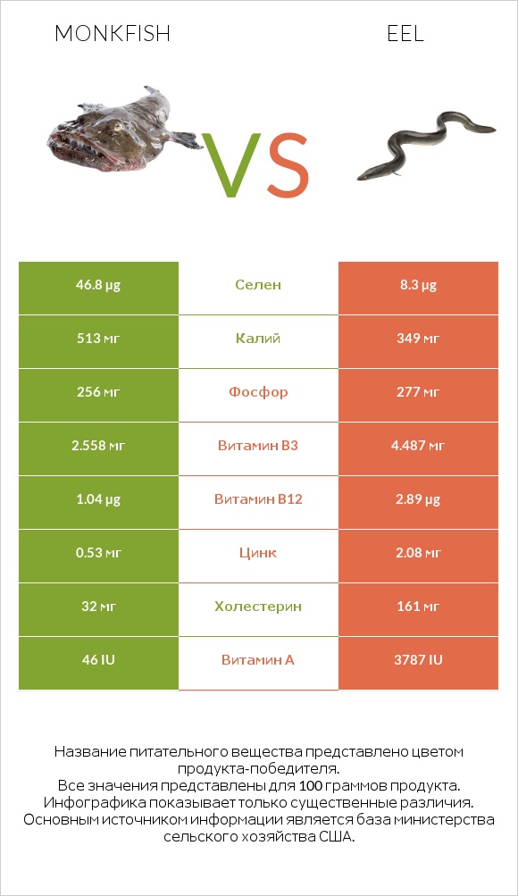 Monkfish vs Eel infographic