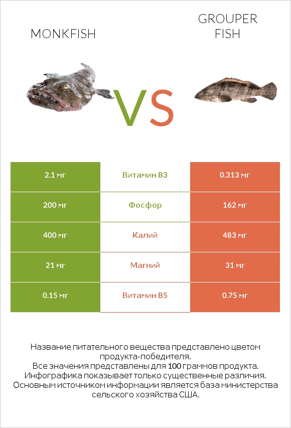 Monkfish vs Grouper fish infographic