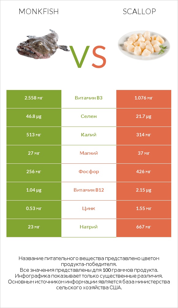 Monkfish vs Scallop infographic