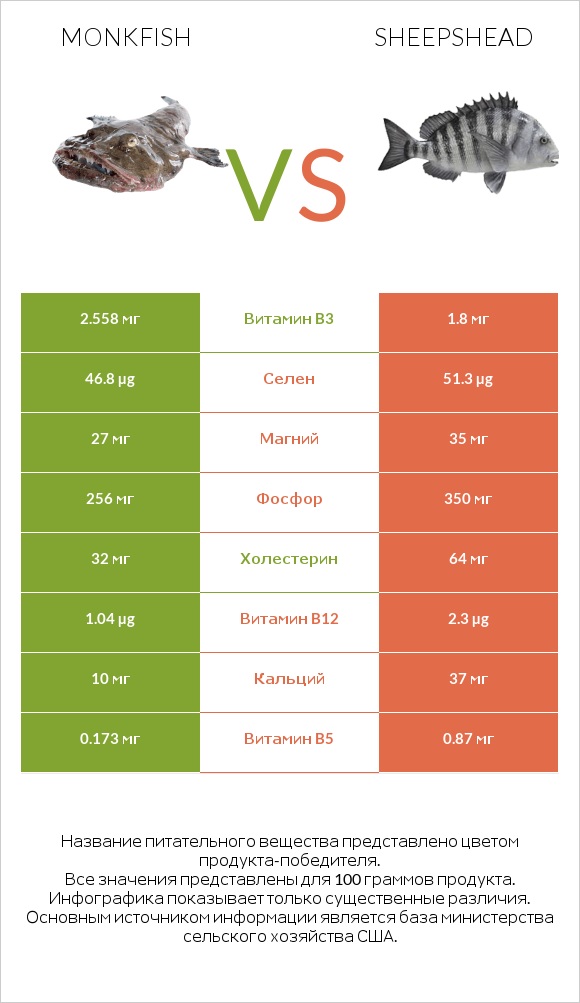 Monkfish vs Sheepshead infographic