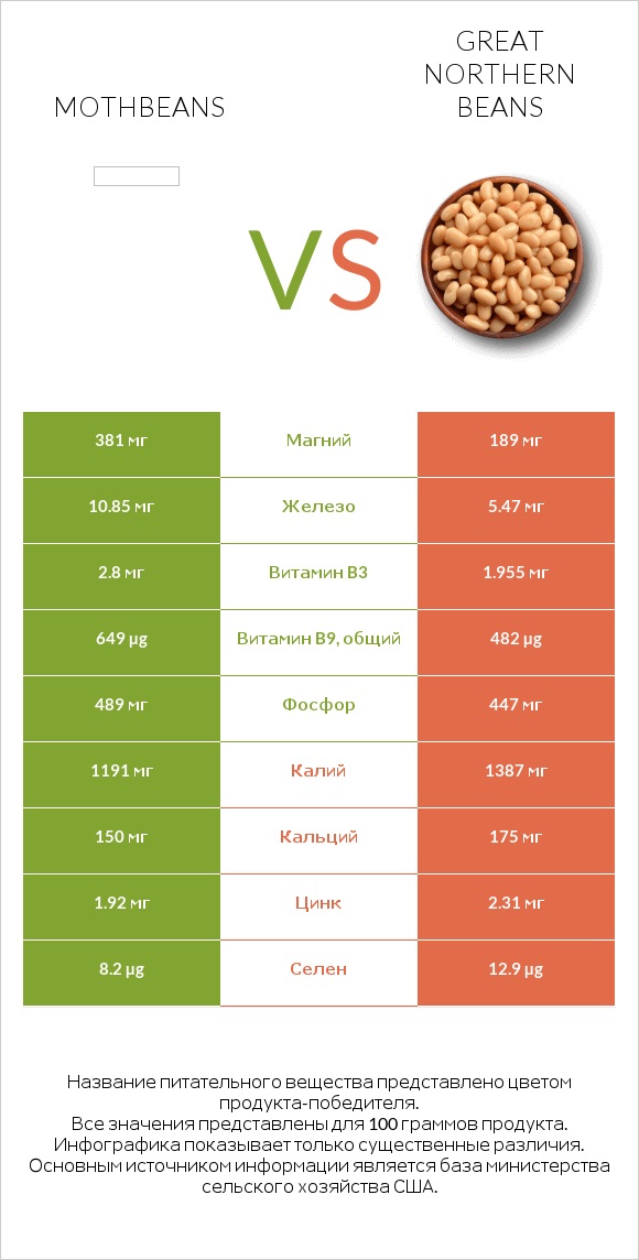 Mothbeans vs Great northern beans infographic
