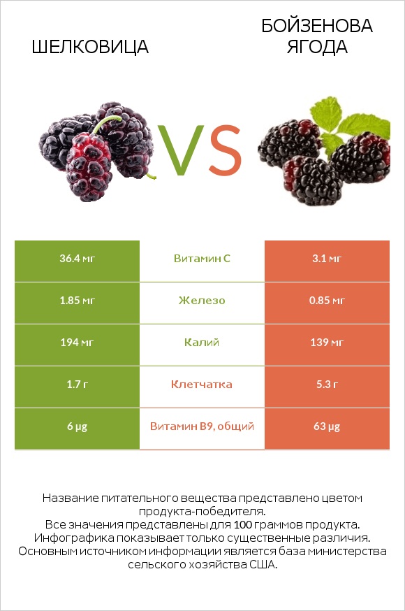 Шелковица vs Бойзенова ягода infographic