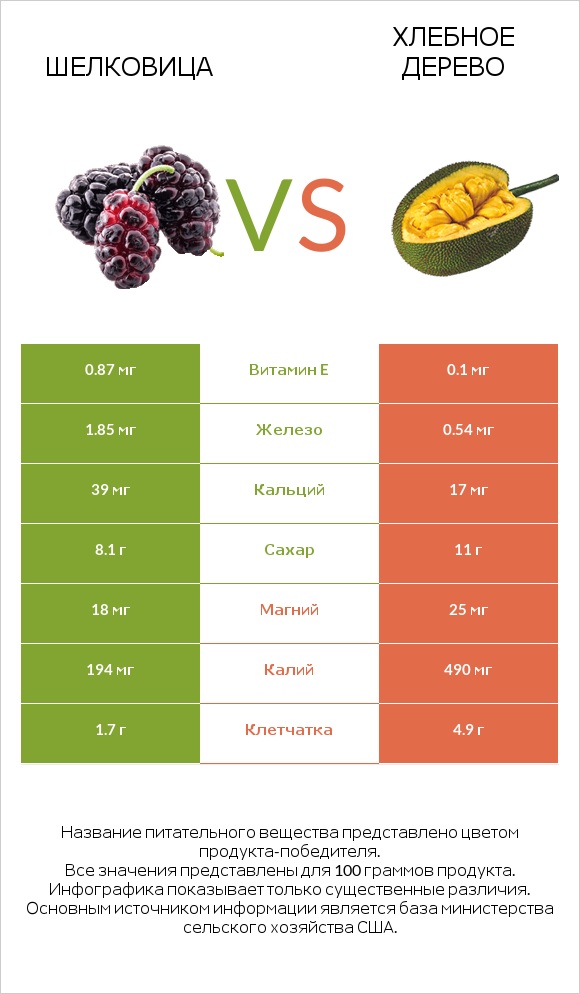 Шелковица vs Хлебное дерево infographic