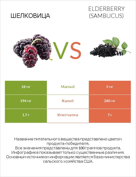 Шелковица vs Elderberry infographic